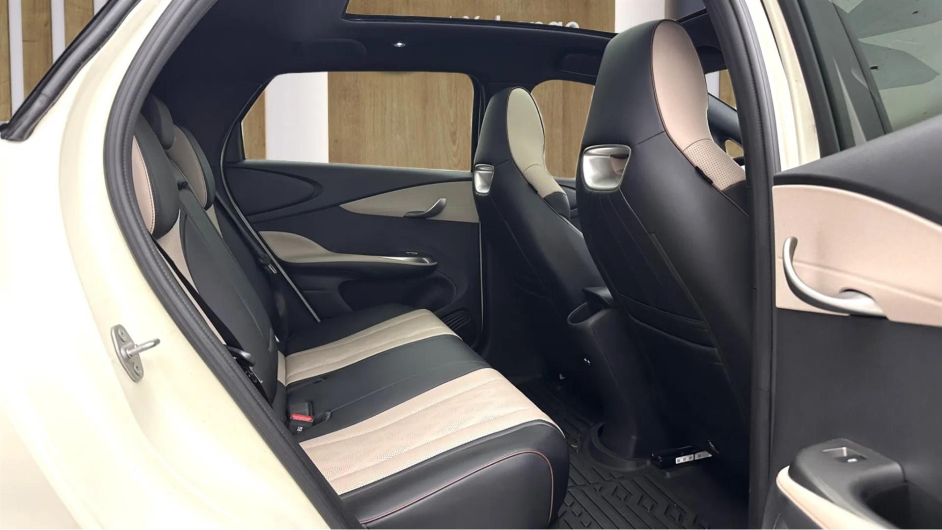 2025 BYD DOLPHİN Design