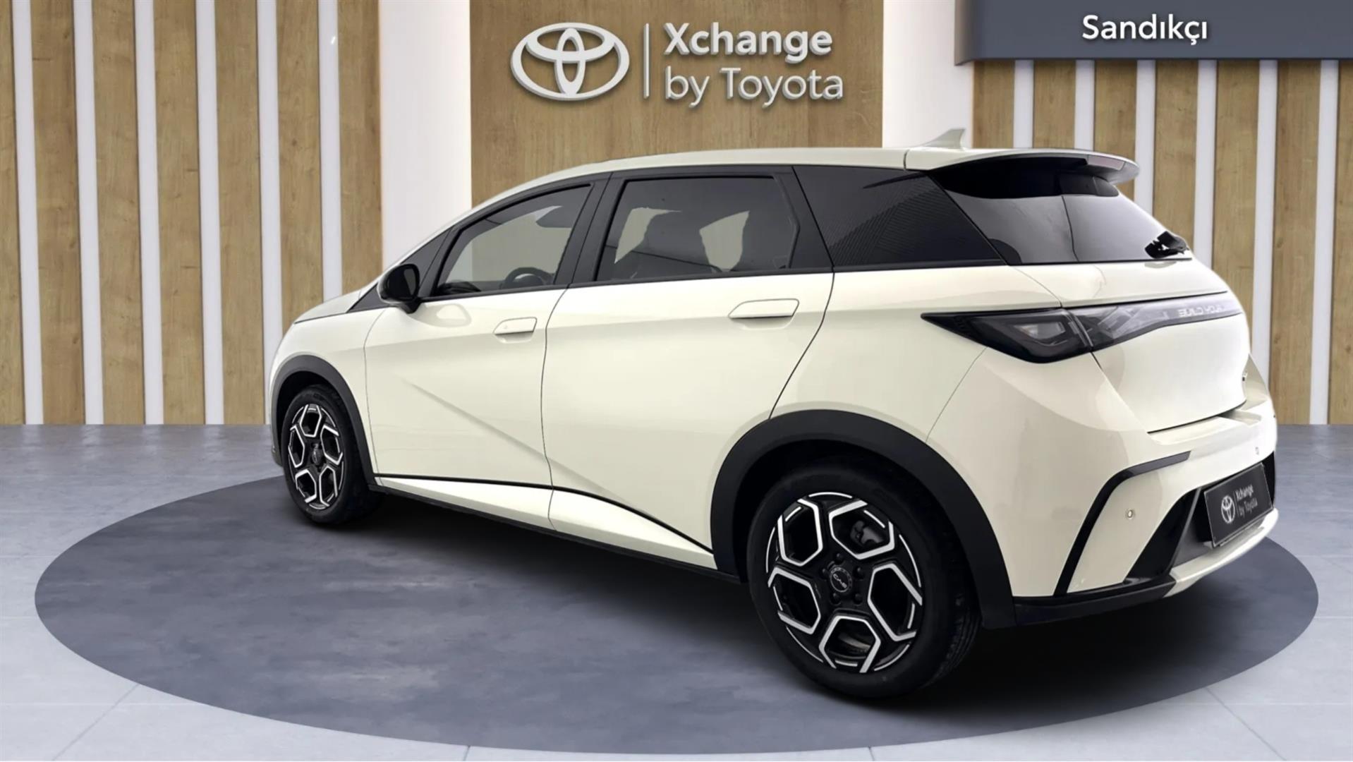 2025 BYD DOLPHİN Design