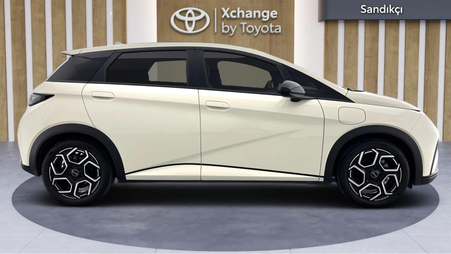2025 BYD DOLPHİN Design