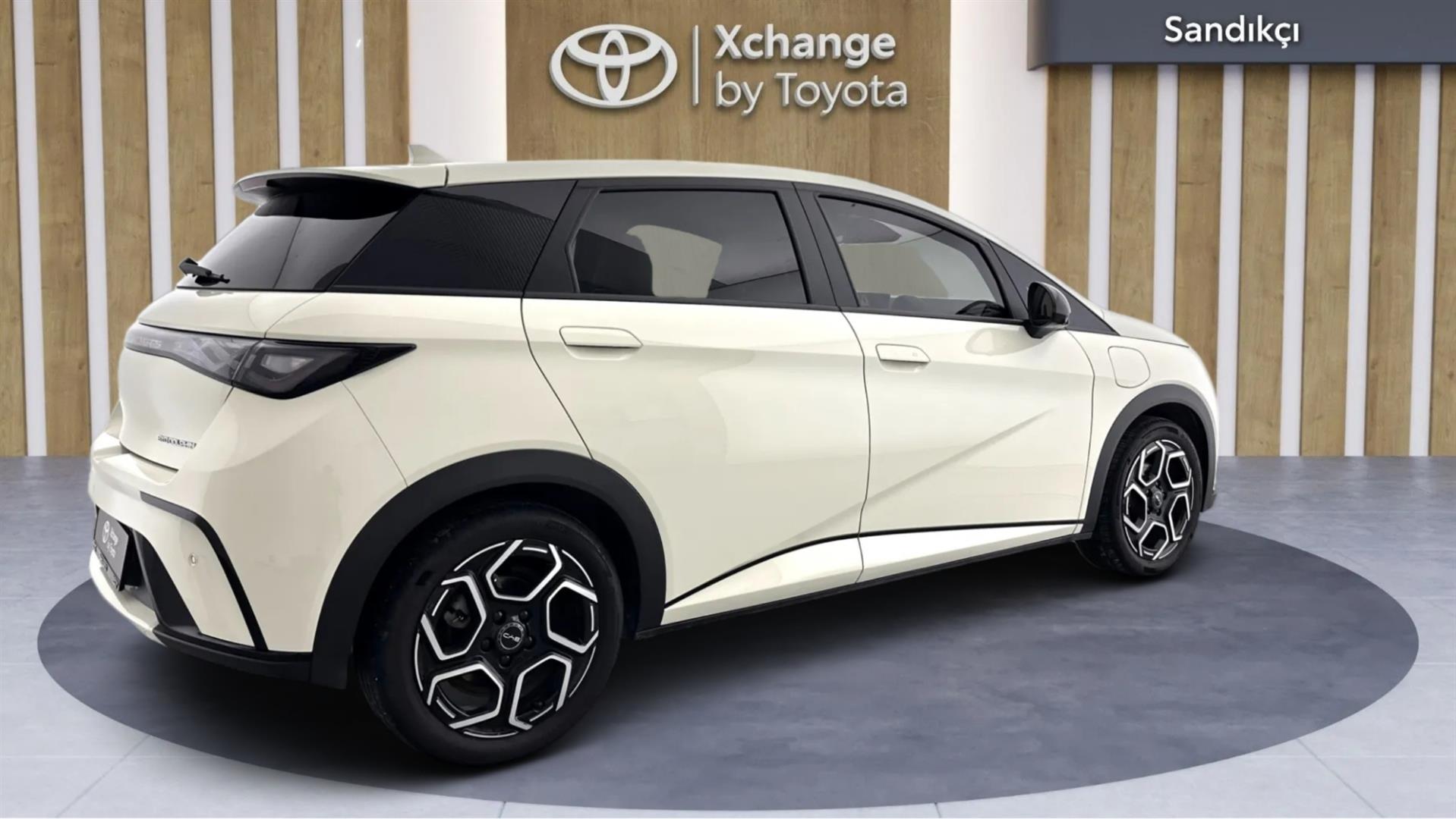 2025 BYD DOLPHİN Design