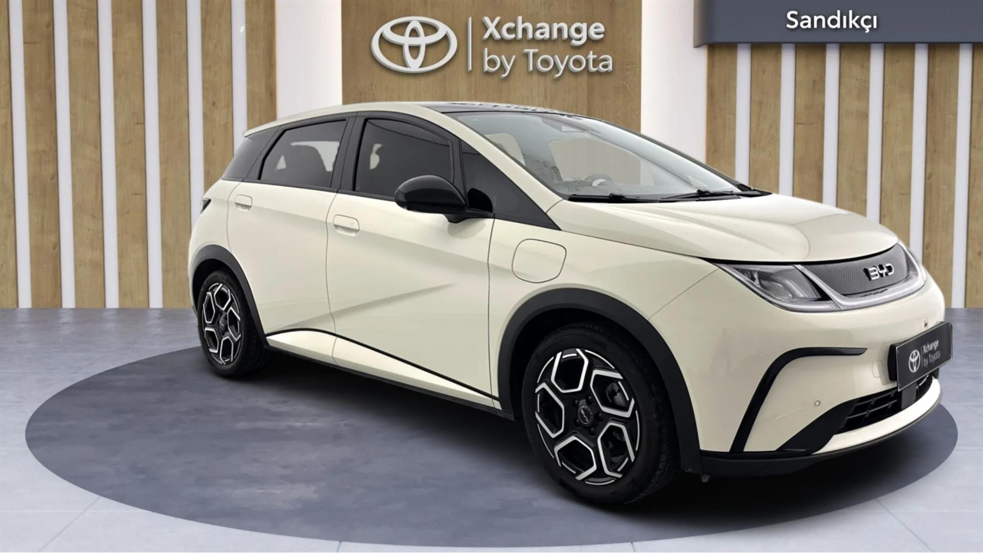 2025 BYD DOLPHİN Design