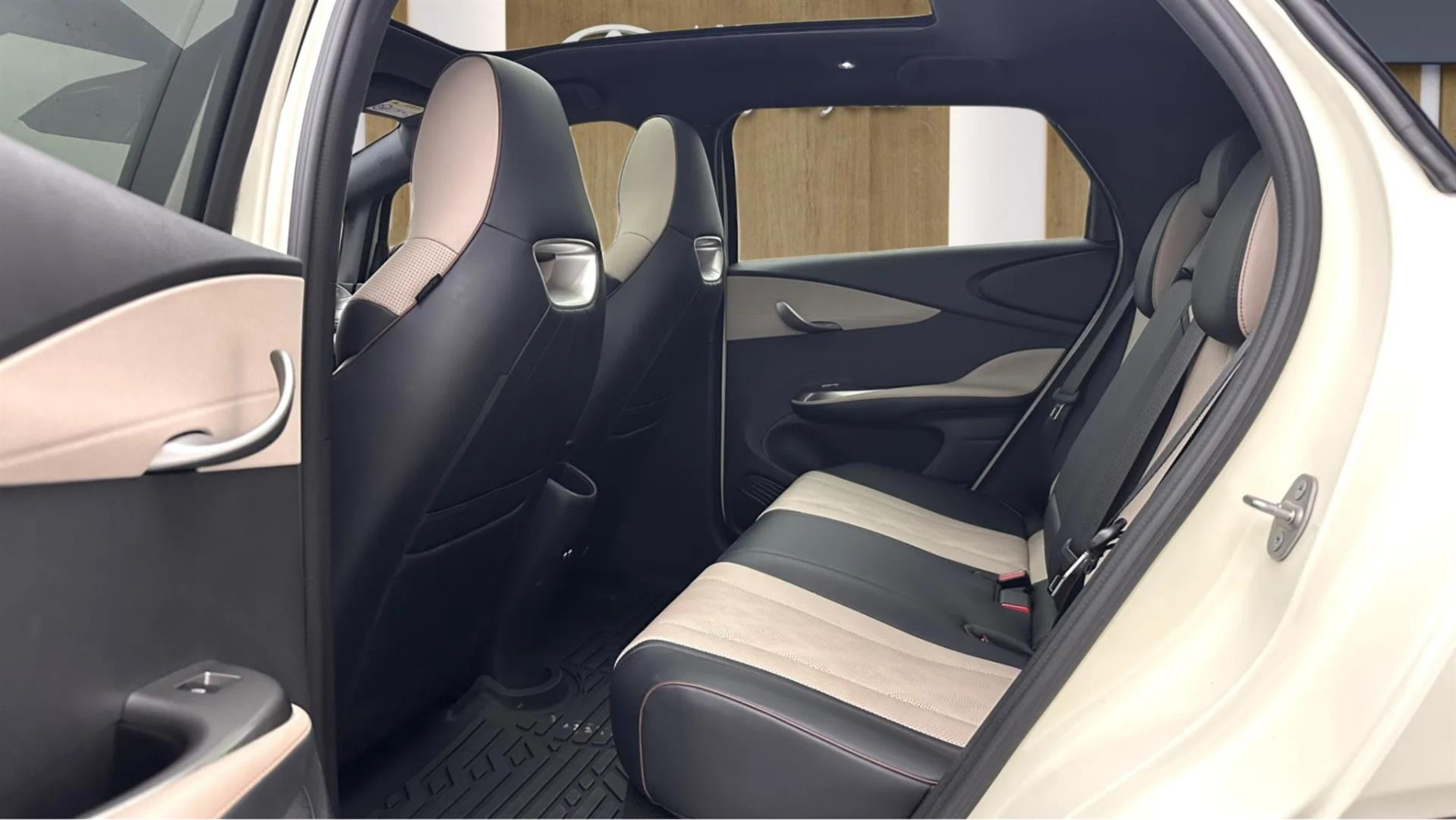 2025 BYD DOLPHİN Design
