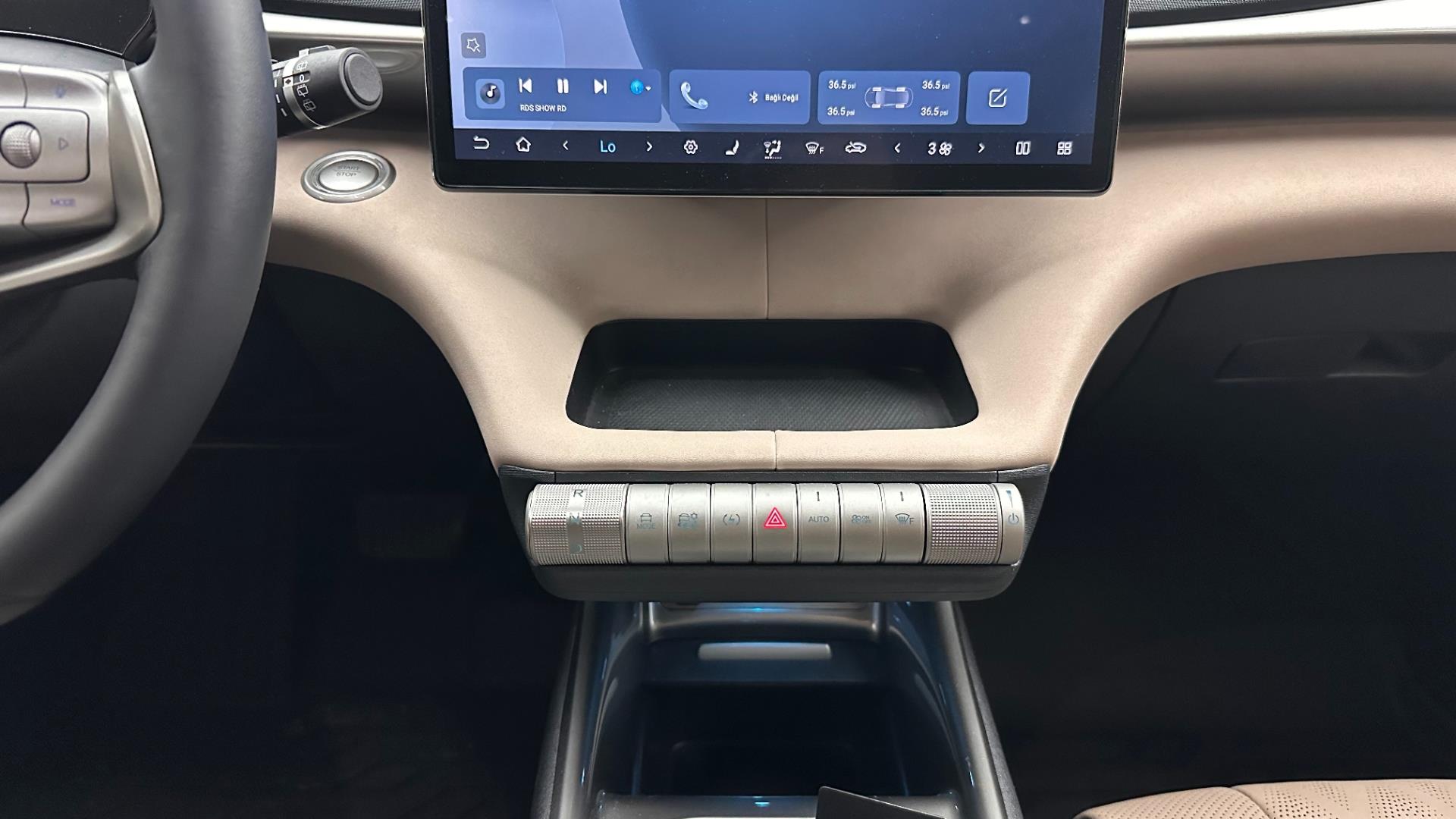 2025 BYD DOLPHİN Design