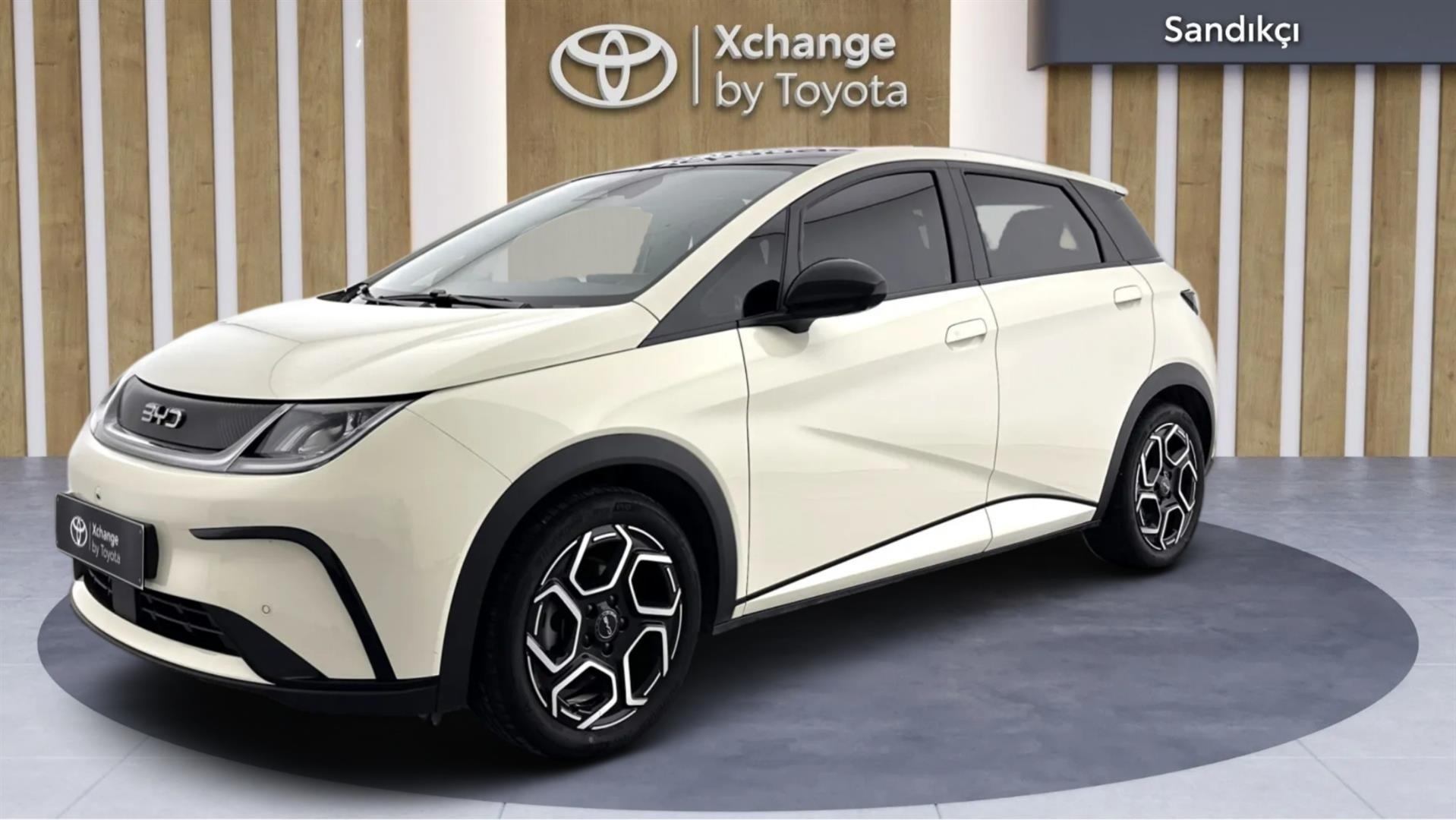 2025 BYD DOLPHİN Design