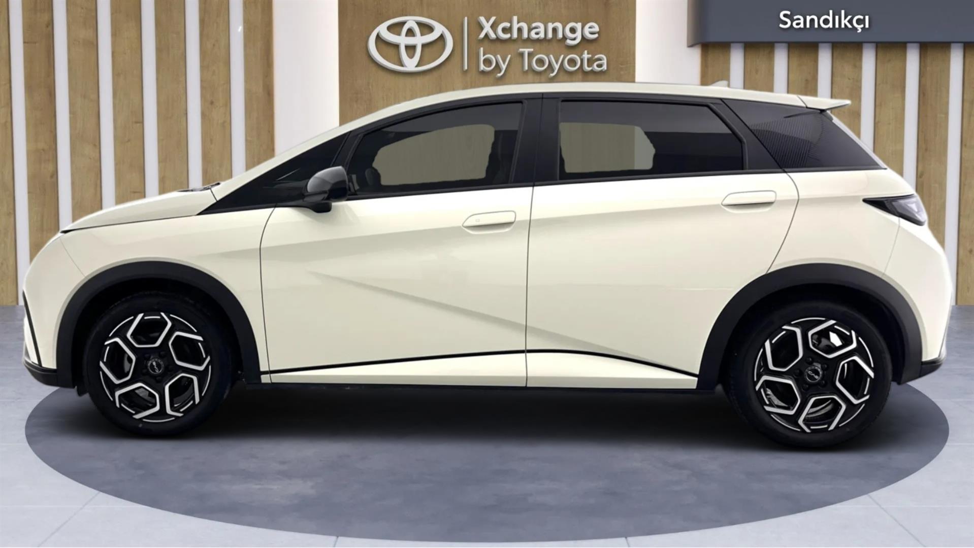 2025 BYD DOLPHİN Design