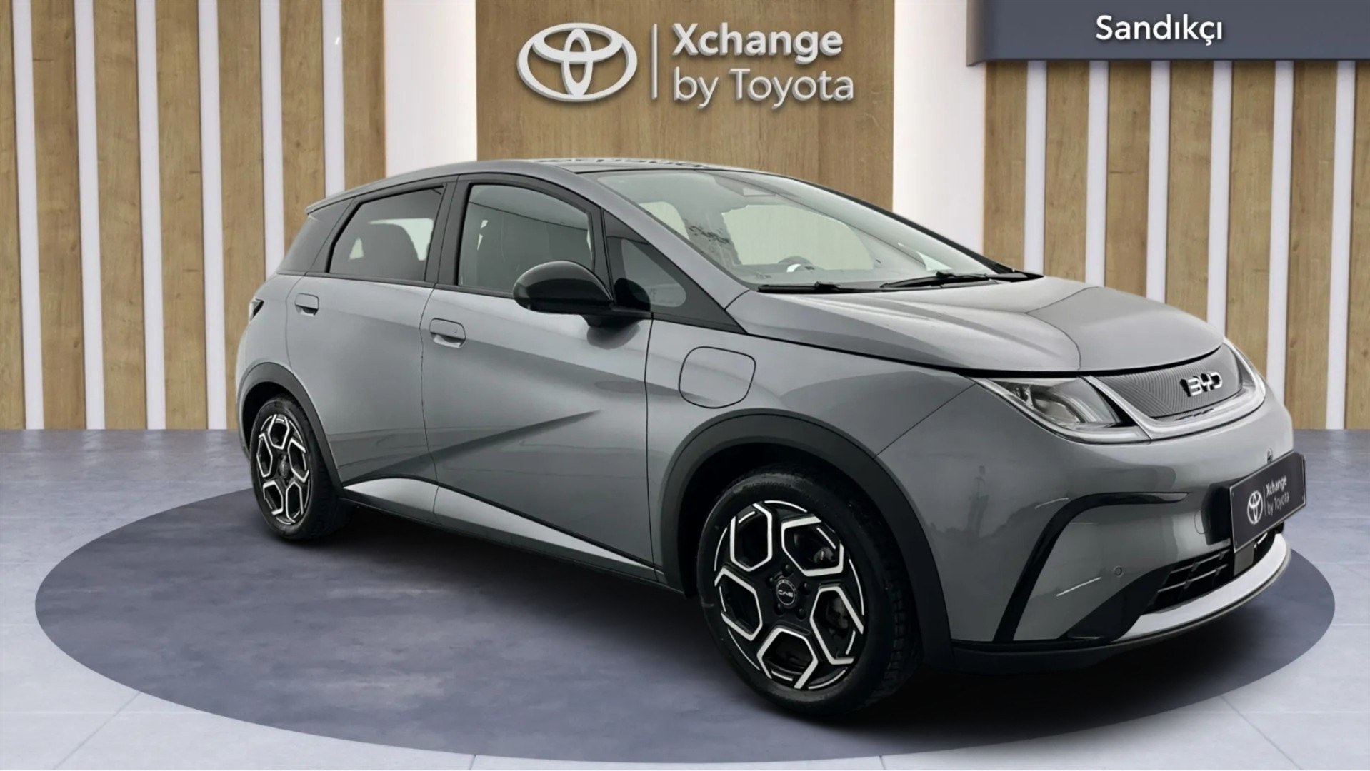 2025 BYD DOLPHİN Design