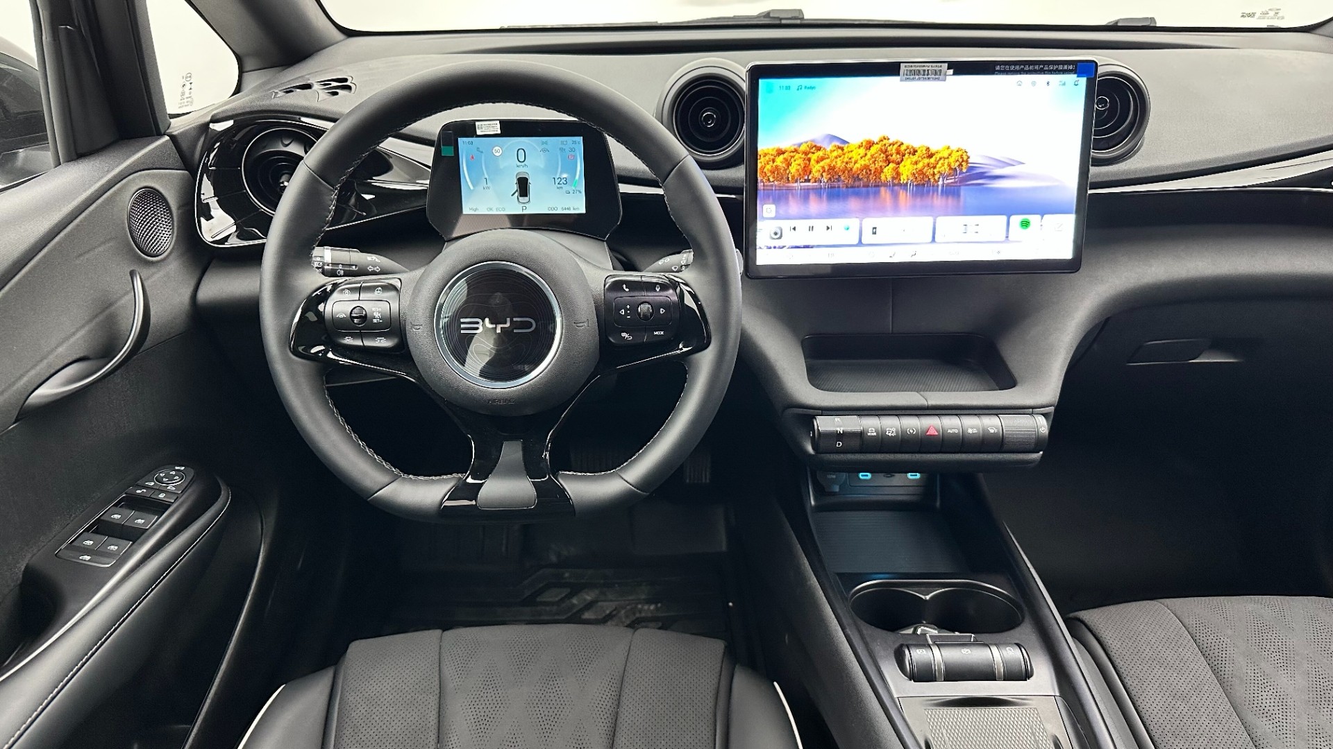 2025 BYD DOLPHİN Design
