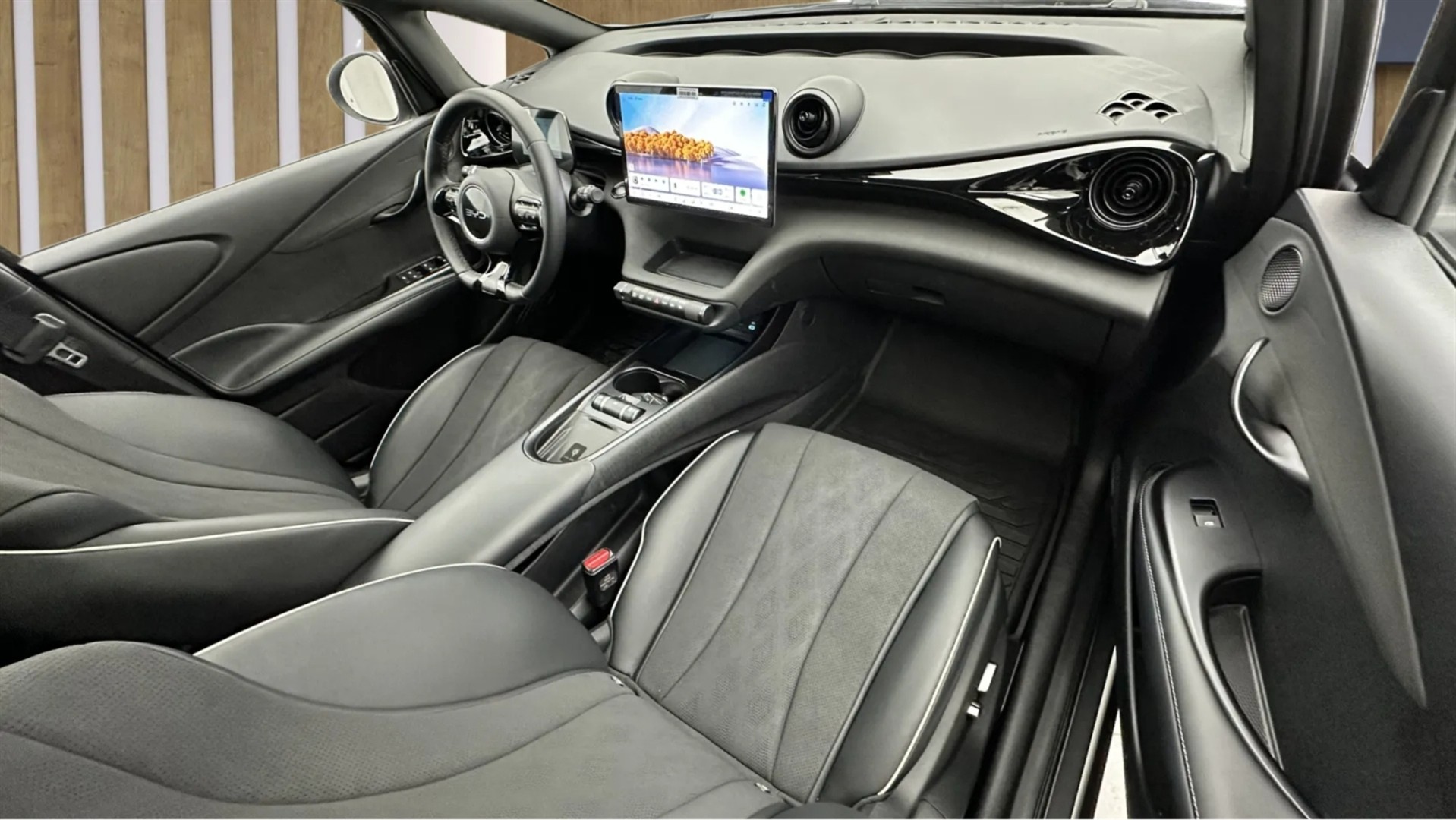 2025 BYD DOLPHİN Design