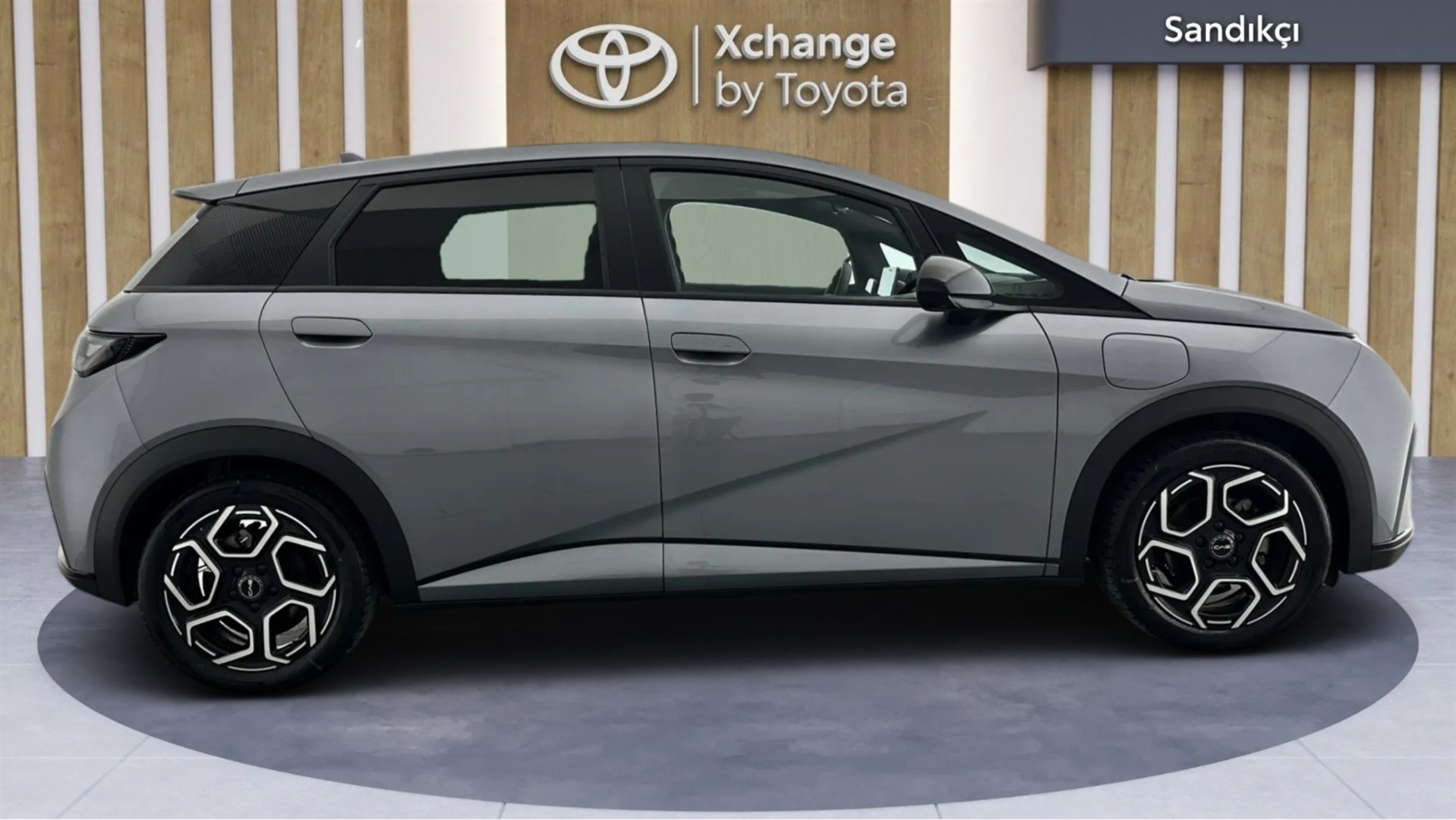 2025 BYD DOLPHİN Design