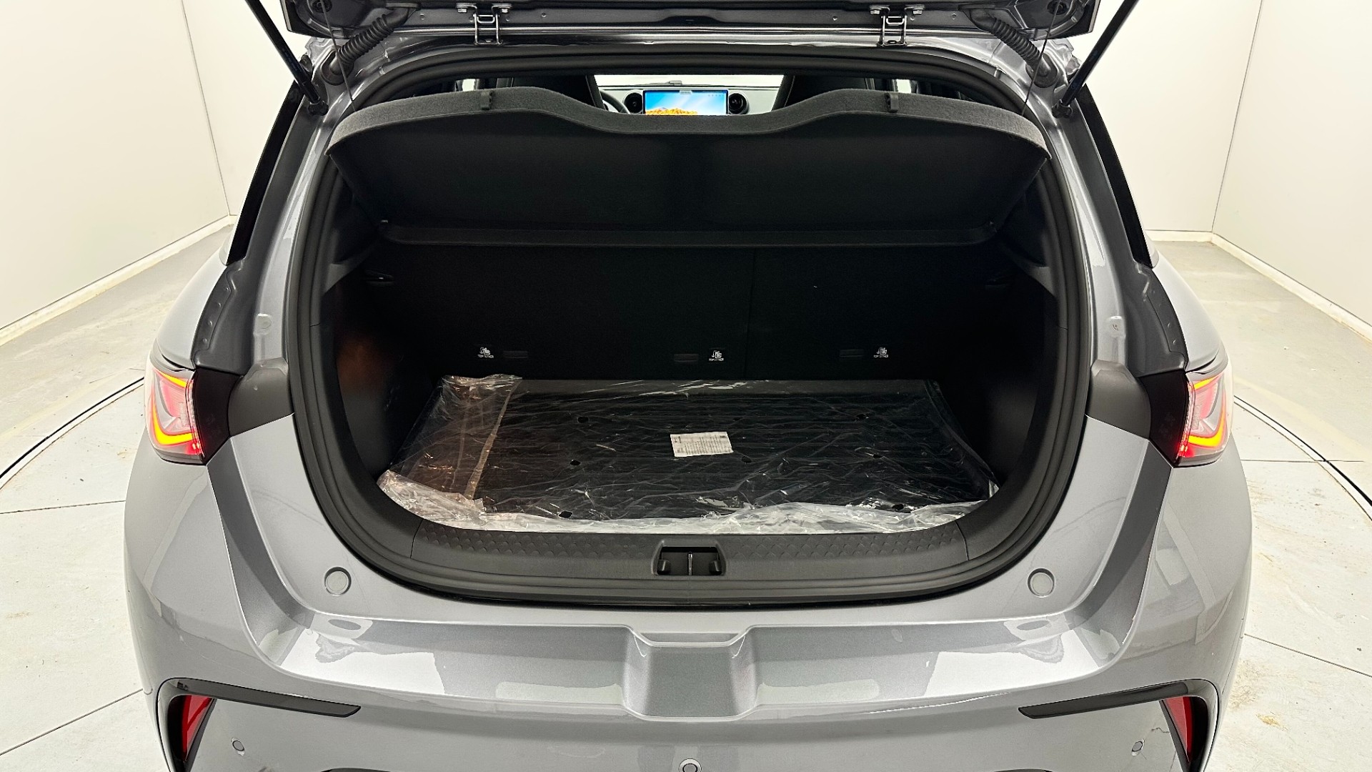 2025 BYD DOLPHİN Design