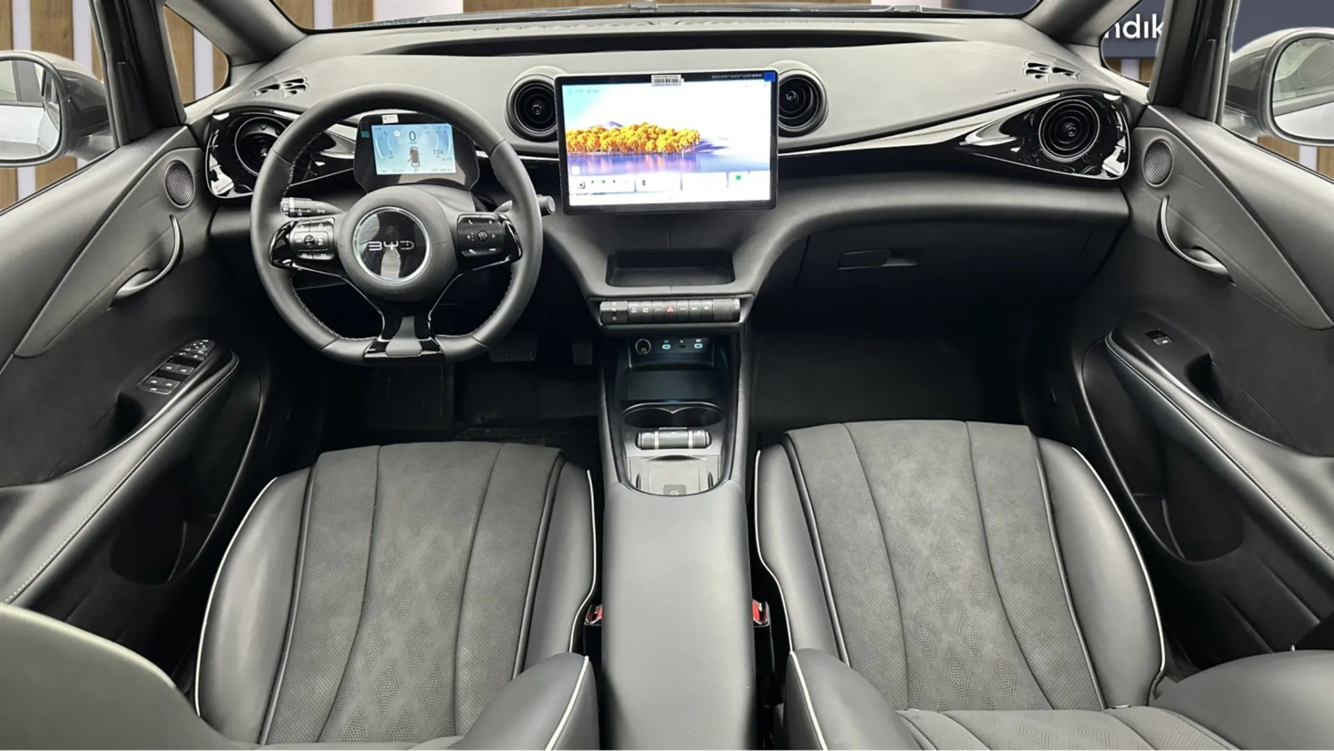 2025 BYD DOLPHİN Design