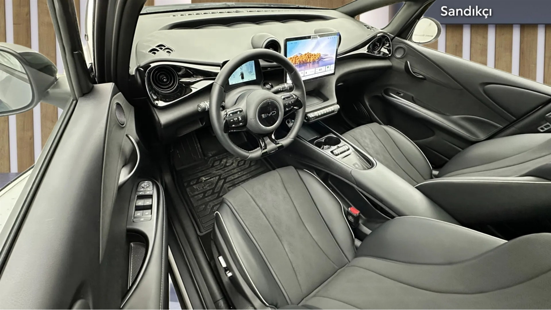 2025 BYD DOLPHİN Design