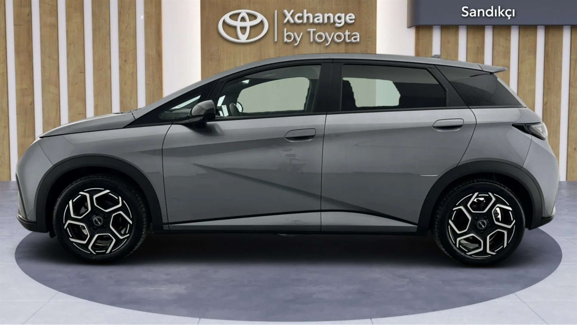 2025 BYD DOLPHİN Design